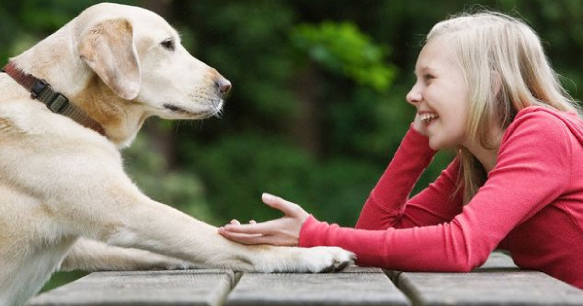 Girl talking to dog